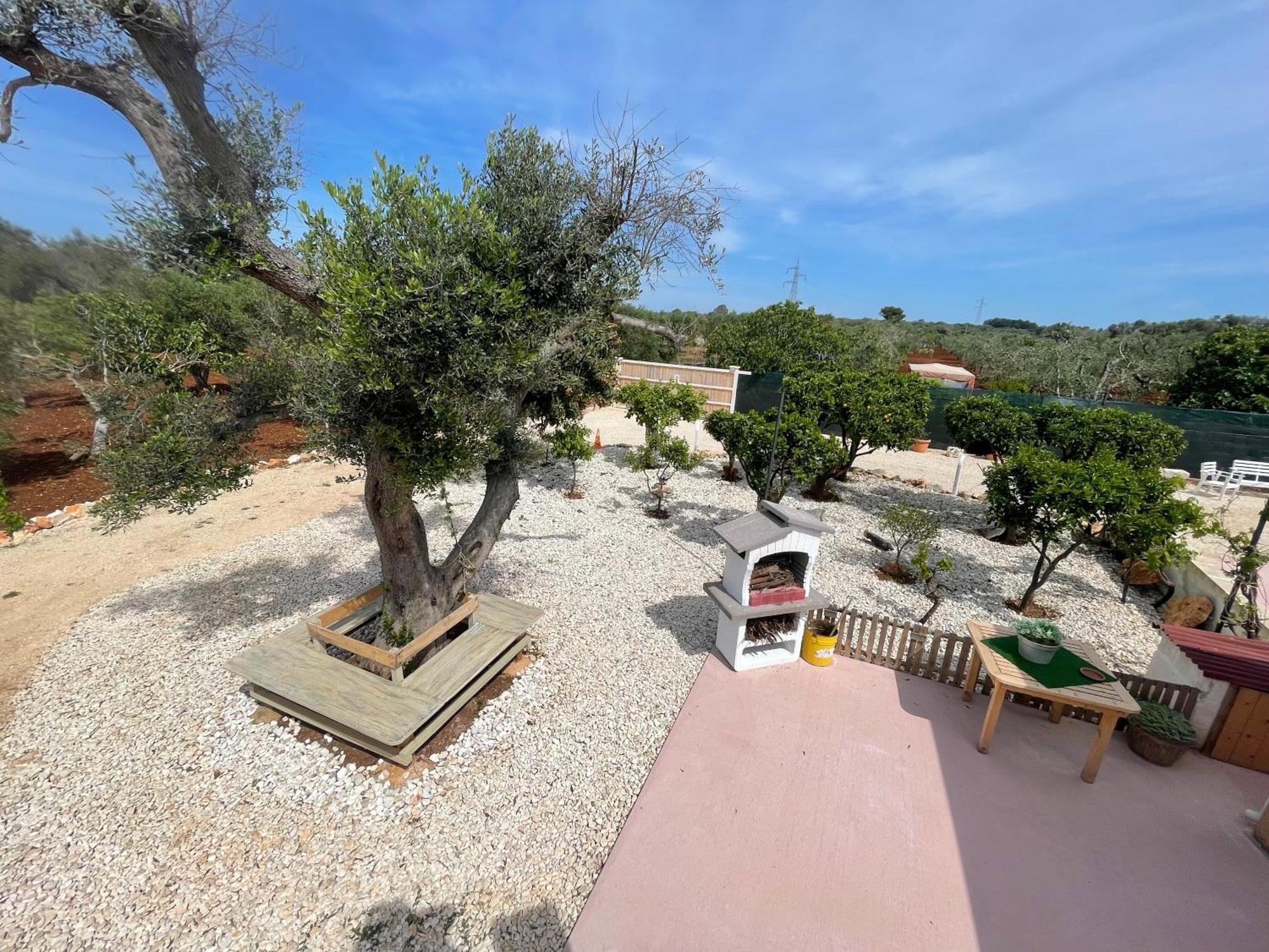 Trullo Del Salento Villa San Vito dei Normanni Eksteriør billede